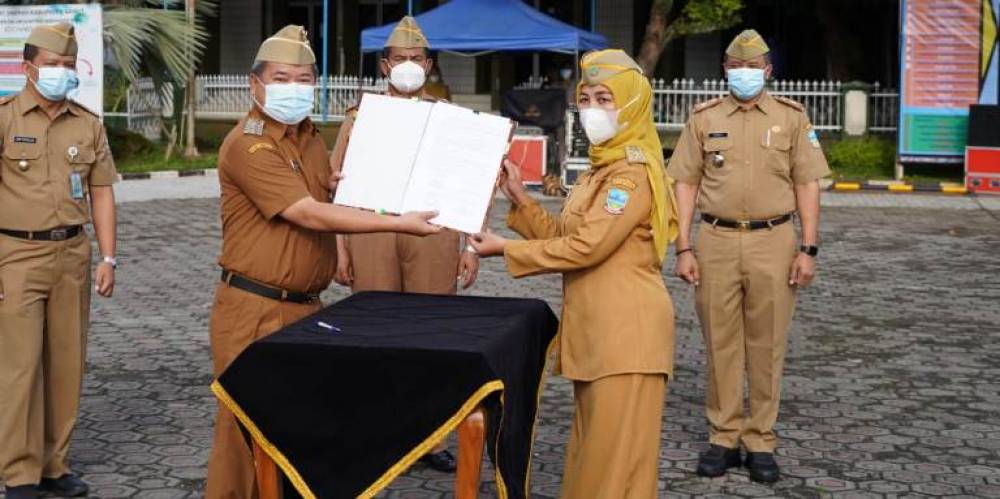 Potensi Bambu Selaawi Yang Tembus Pasar Luar Negeri