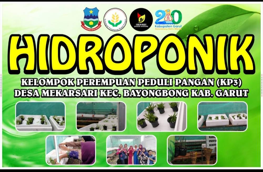 KP3 Desa Mekarsari Manfaatkan Hidroponik di Program Harum Madu