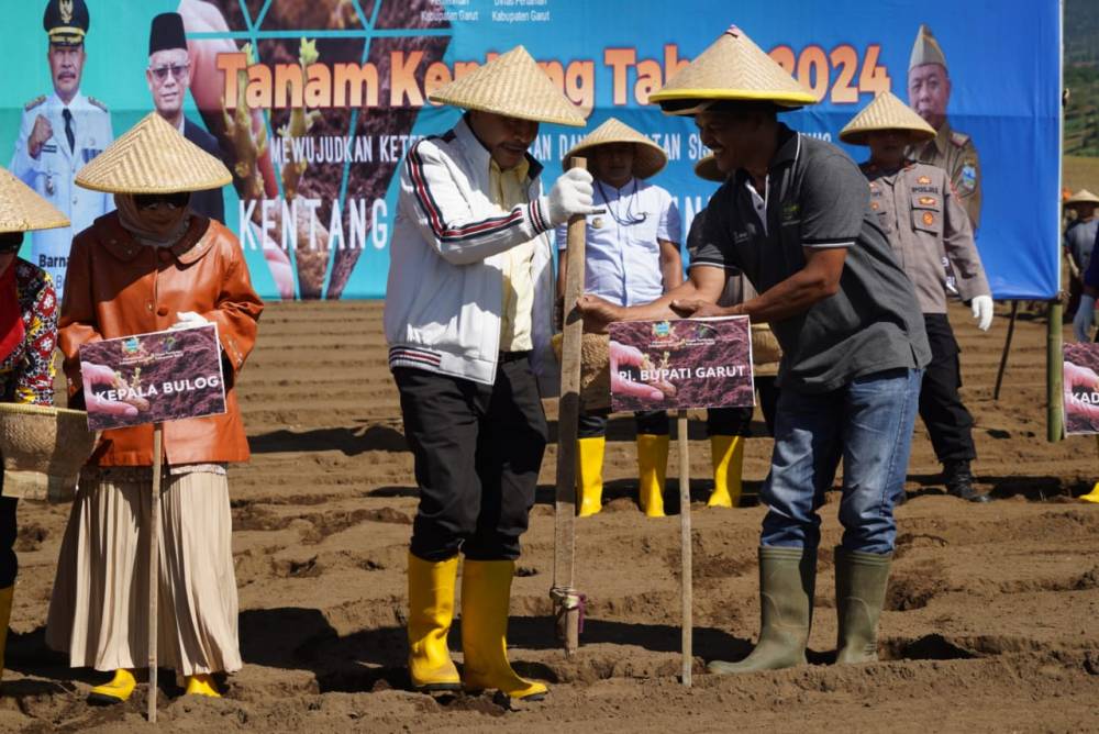 Garut Luncurkan Proyek Tanam Kentang Perdana Project Upland Tahun 2024