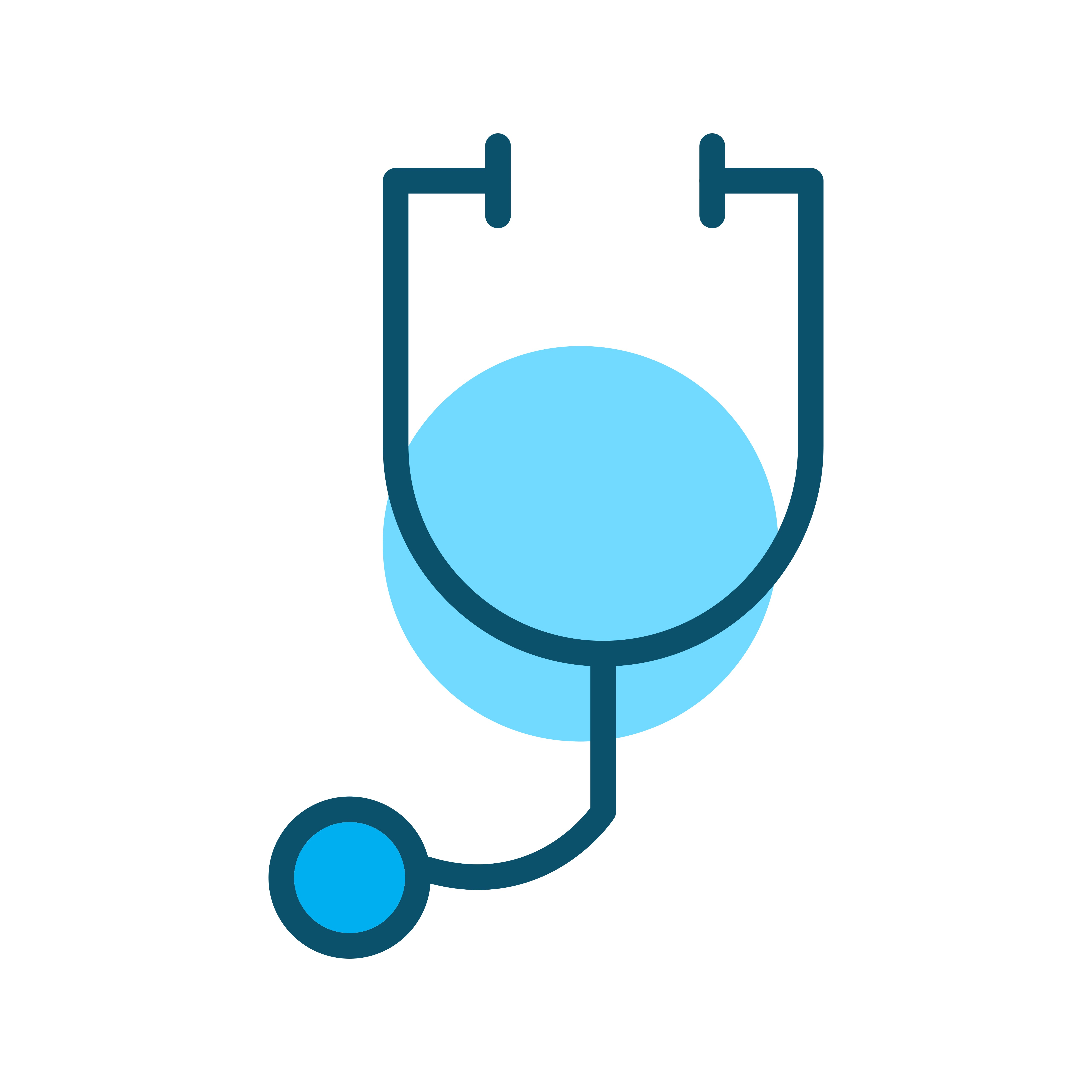 cms-assets